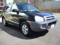 2006 Dark Emerald Green Hyundai Santa Fe GLS  photo #8