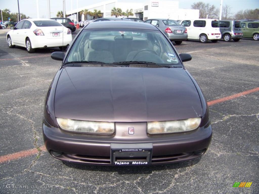 1999 S Series SL2 Sedan - Brown / Gray photo #2