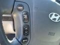 2007 Steel Gray Hyundai Santa Fe Limited  photo #23