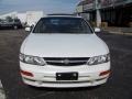Icelandic Pearl - Maxima GLE Photo No. 2