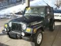 2004 Shale Green Metallic Jeep Wrangler Rubicon 4x4  photo #5