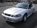 Silver Metallic - Mustang V6 Convertible Photo No. 1