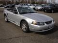 Silver Metallic - Mustang V6 Convertible Photo No. 14