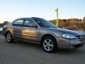 2000 Sterling Mist Metallic Nissan Maxima GLE  photo #23