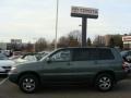 Oasis Green Pearl - Highlander V6 4WD Photo No. 3