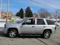 Moondust Metallic - TrailBlazer LS 4x4 Photo No. 5