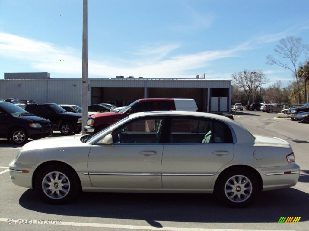 2004 Amanti  - Pearl White / Gray photo #2