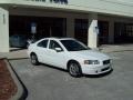 Ice White - S60 2.5T Photo No. 11
