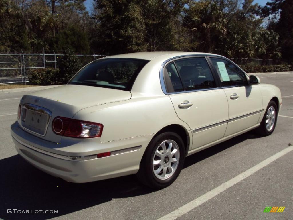 2004 Amanti  - Pearl White / Gray photo #8