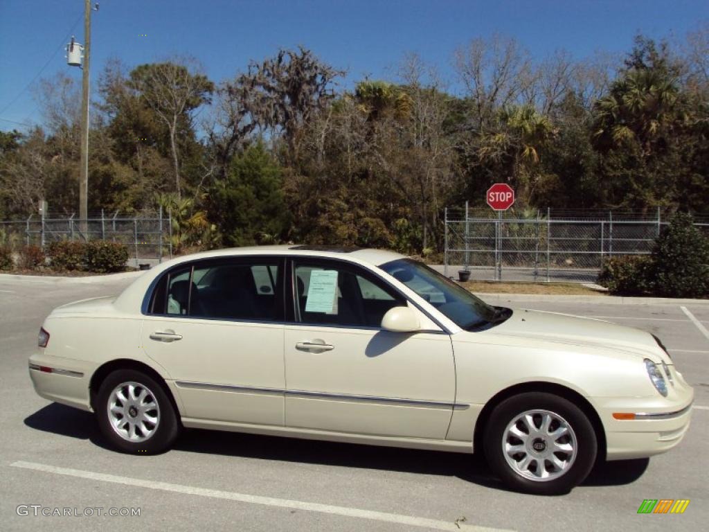 2004 Amanti  - Pearl White / Gray photo #9