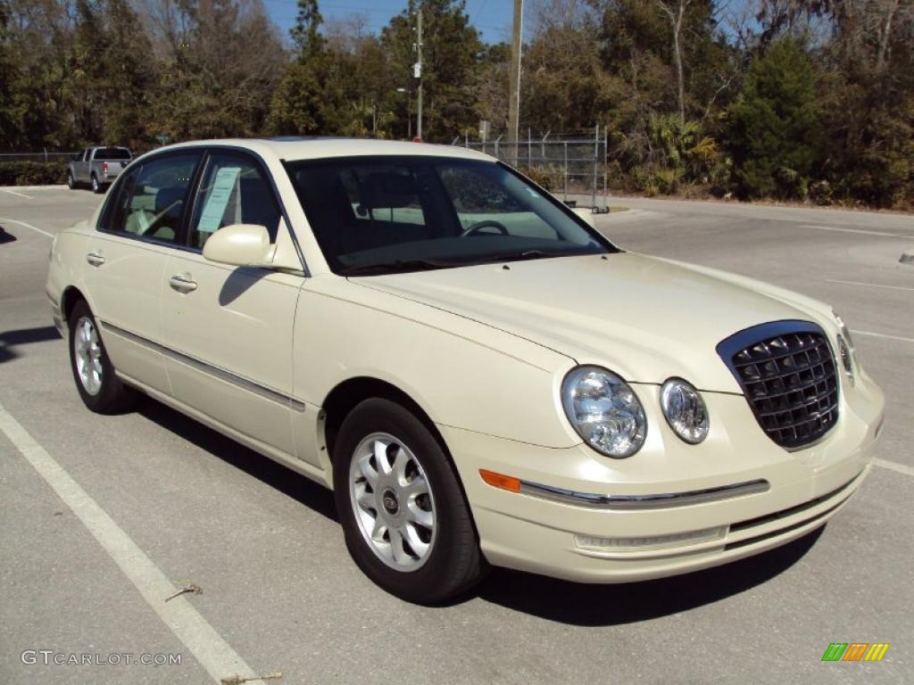 2004 Amanti  - Pearl White / Gray photo #10