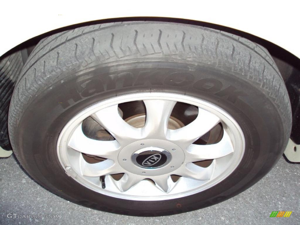 2004 Amanti  - Pearl White / Gray photo #14