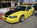 2001 Zinc Yellow Metallic Ford Mustang V6 Coupe  photo #3