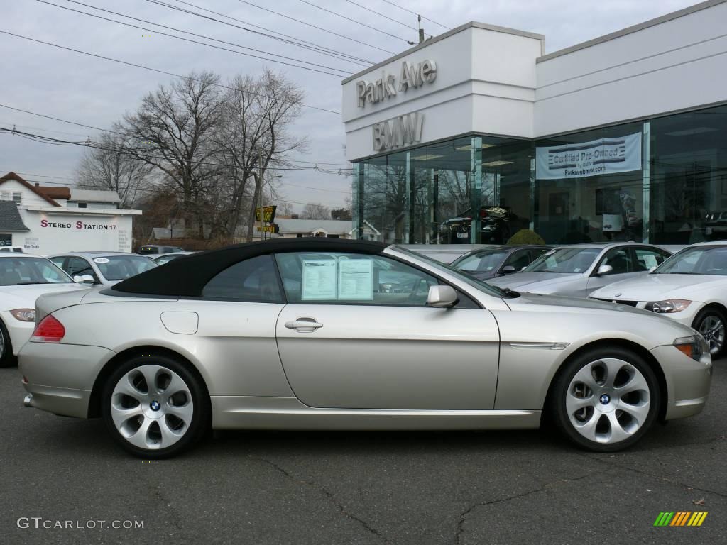 Mineral Silver Metallic BMW 6 Series