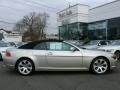 Mineral Silver Metallic - 6 Series 645i Convertible Photo No. 1