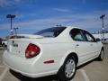 Icelandic Pearl - Maxima GXE Photo No. 3