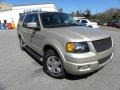 Pueblo Gold Metallic 2005 Ford Expedition Limited 4x4