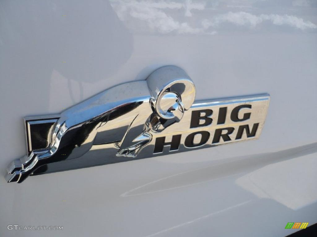 2010 Ram 3500 Big Horn Edition Crew Cab 4x4 - Bright White / Dark Slate/Medium Graystone photo #14