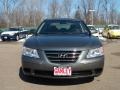Willow Gray - Sonata GLS Photo No. 8