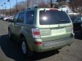 Kiwi Green - Mariner V6 Premier 4WD Photo No. 2