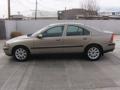 Ash Gold Metallic - S60 2.5T Photo No. 7