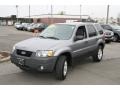 Tungsten Grey Metallic 2007 Ford Escape XLT 4WD