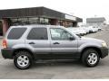 Tungsten Grey Metallic - Escape XLT 4WD Photo No. 4