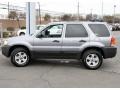 2007 Tungsten Grey Metallic Ford Escape XLT 4WD  photo #9