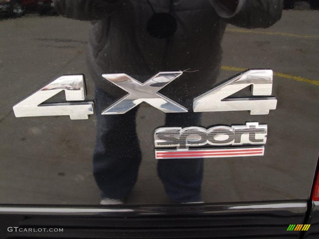 2006 Ram 1500 Sport Quad Cab 4x4 - Brilliant Black Crystal Pearl / Medium Slate Gray photo #25