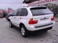 Alpine White - X5 3.0i Photo No. 4