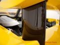 Fayence Yellow - Carrera GT  Photo No. 35