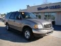 Arizona Beige Metallic - Expedition XLT Photo No. 2