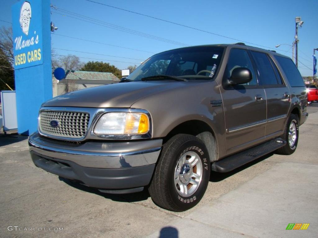 2001 Expedition XLT - Arizona Beige Metallic / Medium Parchment photo #4