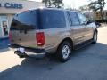 Arizona Beige Metallic - Expedition XLT Photo No. 8