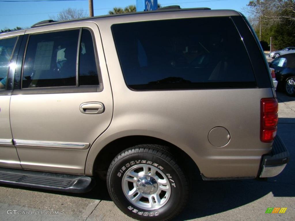 2001 Expedition XLT - Arizona Beige Metallic / Medium Parchment photo #34