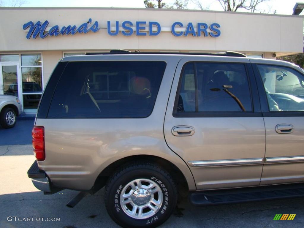 2001 Expedition XLT - Arizona Beige Metallic / Medium Parchment photo #35