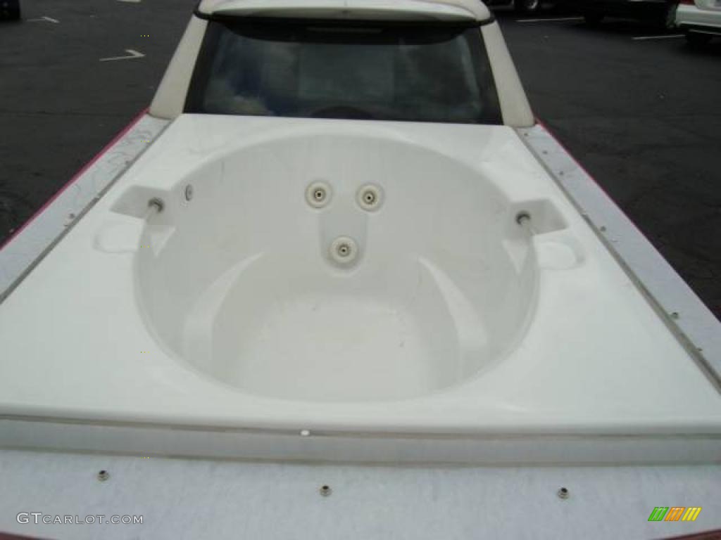 2008 Cooper Barbie Edition Jacuzzi Limousine - Custom Pink / Black/Pink photo #23