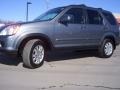 Pewter Pearl - CR-V SE 4WD Photo No. 12