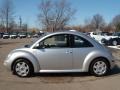 Silver Metallic - New Beetle GLS Coupe Photo No. 2