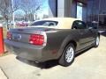 2005 Mineral Grey Metallic Ford Mustang V6 Deluxe Convertible  photo #16