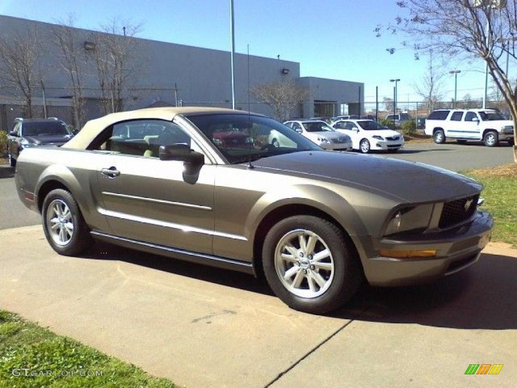 2005 Mustang V6 Deluxe Convertible - Mineral Grey Metallic / Medium Parchment photo #17