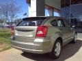 Light Khaki Metallic - Caliber SE Photo No. 16