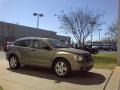 Light Khaki Metallic - Caliber SE Photo No. 17