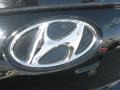 Ebony Black - Elantra GLS Hatchback Photo No. 40