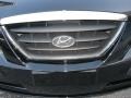 Ebony Black - Elantra GLS Hatchback Photo No. 44