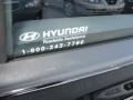 Ebony Black - Elantra GLS Hatchback Photo No. 45