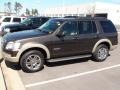 2008 Stone Green Metallic Ford Explorer Eddie Bauer  photo #44