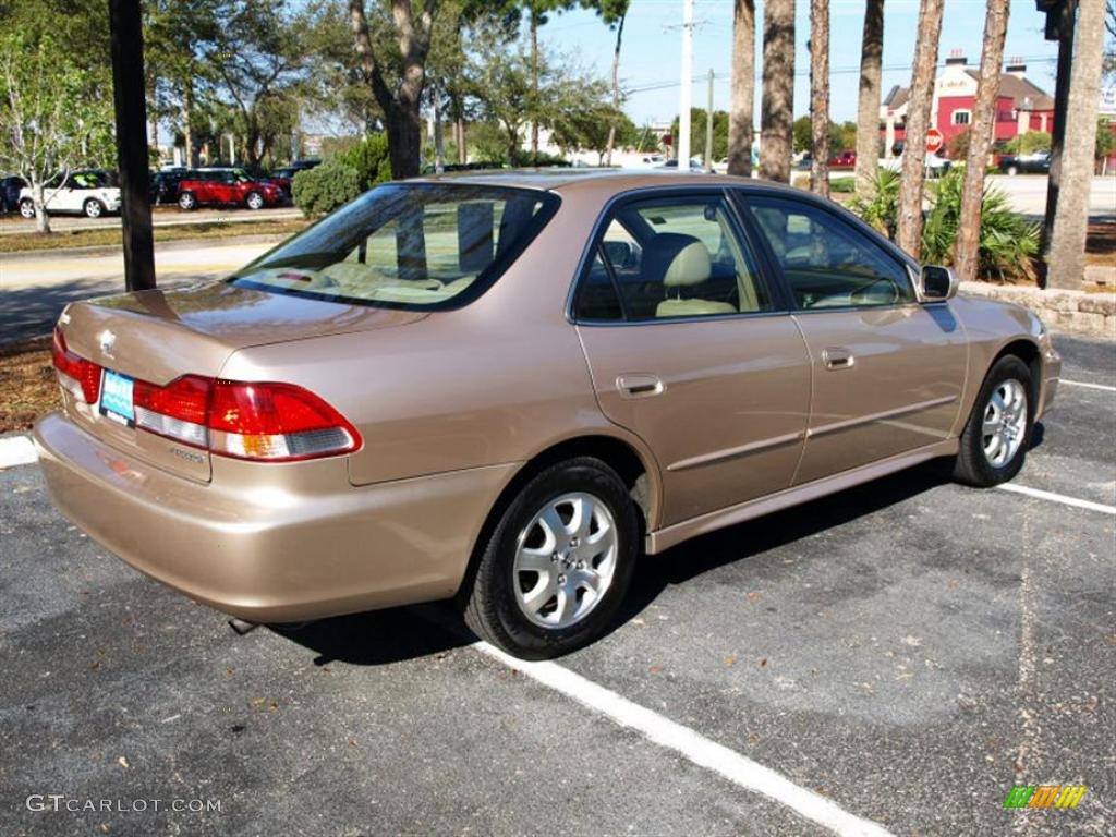 2001 Accord EX Sedan - Naples Gold Metallic / Ivory photo #3