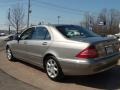Pewter Metallic - S 500 4Matic Sedan Photo No. 3