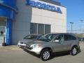 2007 Borrego Beige Metallic Honda CR-V EX-L 4WD  photo #1